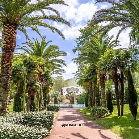 公寓 T2 A Cambo-les-bains, Proche Des Thermes, Pour 2 Personnes - Fr-1-495-146 康博莱班